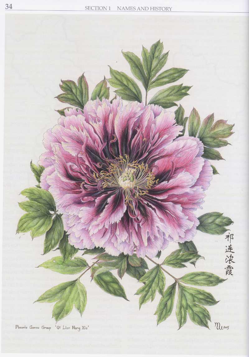 034